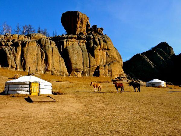 Discover Mongolia holiday, small group