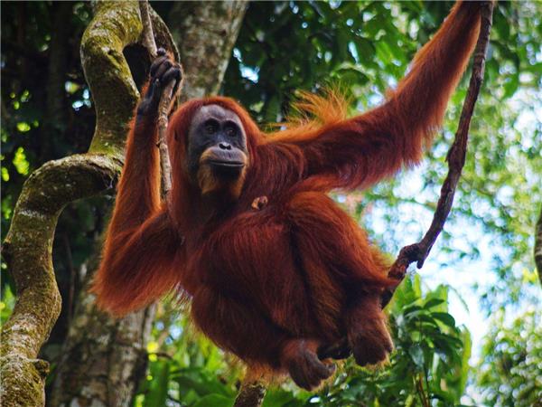 Vietnam to Singapore overland adventure holiday