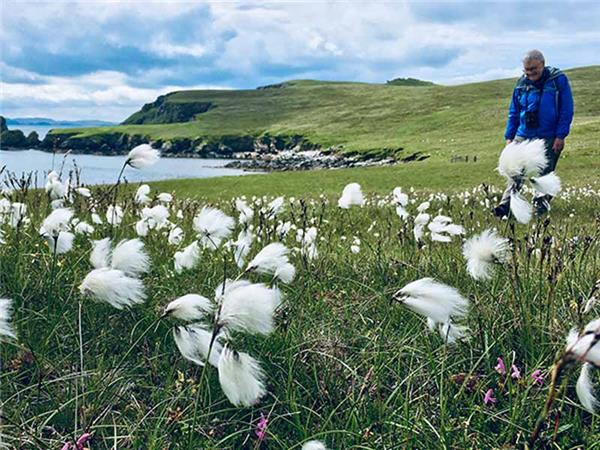 Shetland and Orkney walking holiday