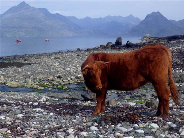 Isle of Skye walking holiday, Scotland
