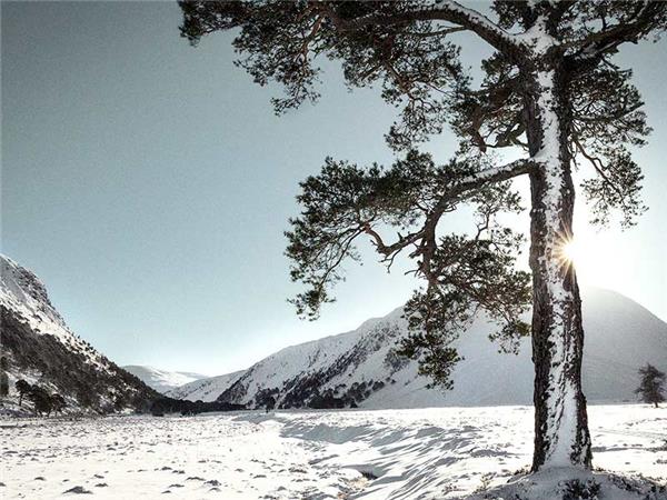 Winter retreat in Cairngorms, women only