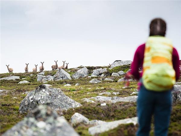 Winter retreat in Cairngorms, women only