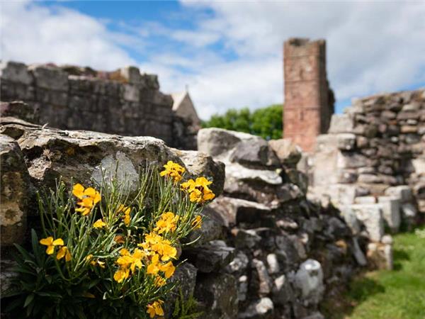 Northumberland wildlife holiday