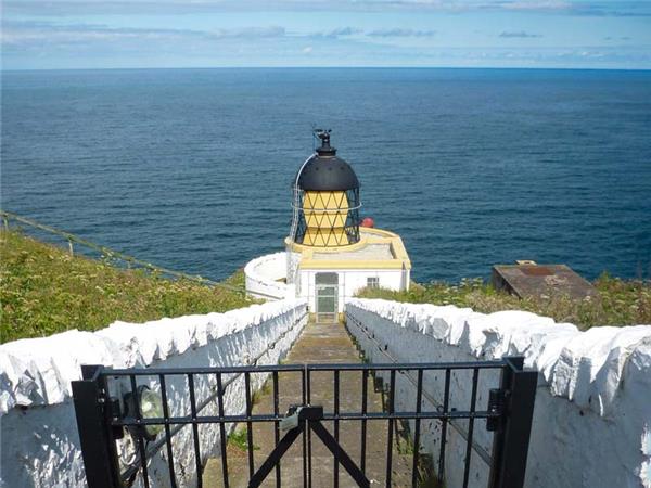Northumberland wildlife holiday