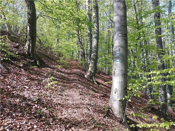 Walking in the Balkan mountains