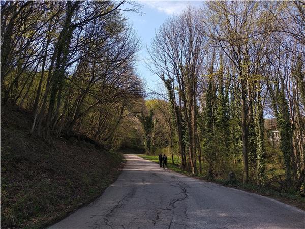 Walking in the Balkan mountains