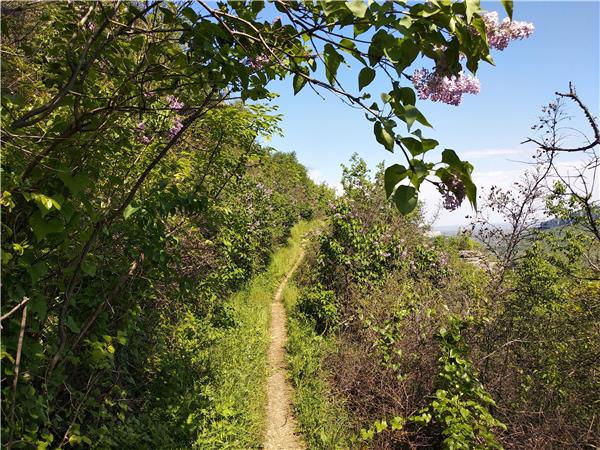 Balkan mountains walking holiday, short break