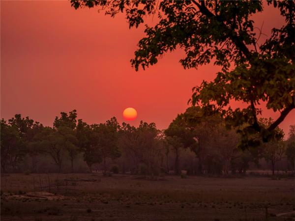 India tiger safari small group holiday