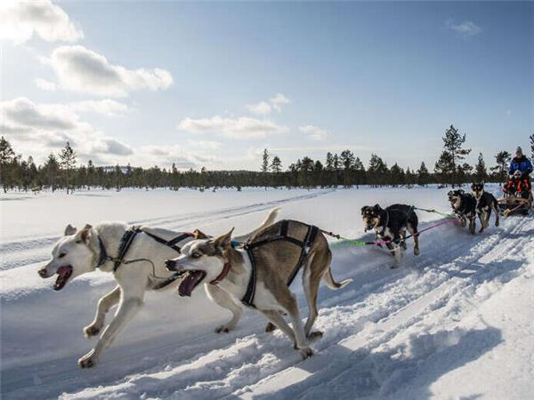 Finnish Lapland Winter adventure holiday