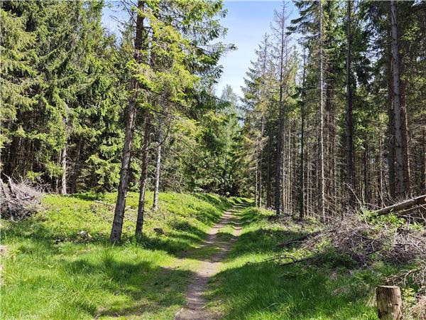 Poland�s High Tatras mountains walking holiday