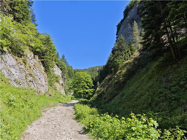 Poland�s High Tatras mountains walking holiday