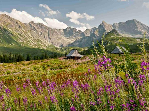 Poland & Slovakia self guided walking holiday
