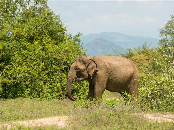 Sri Lanka budget holiday