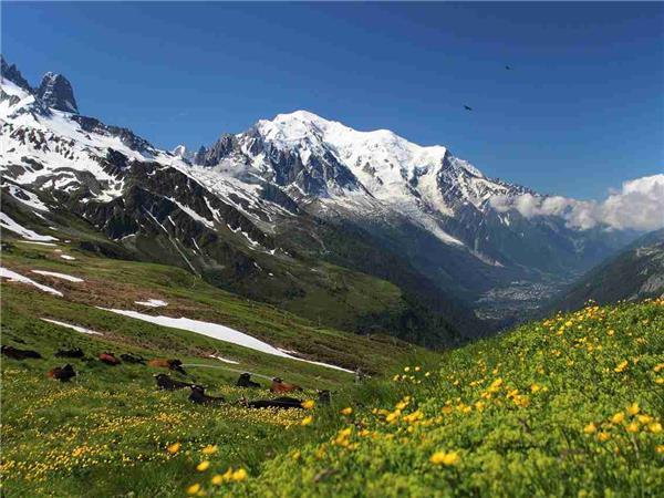 Tour du Mont Blanc Highlights holiday