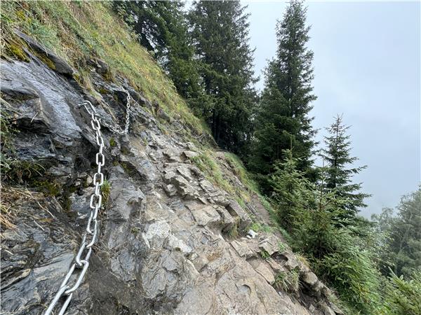 Tour du Mont Blanc Highlights holiday