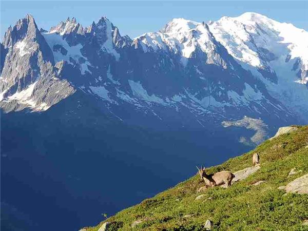 Tour du Mont Blanc circuit in comfort