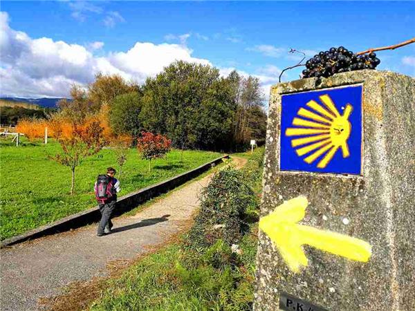 Portuguese Camino de Santiago self guided walking holiday