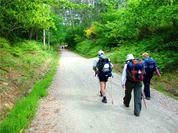 Portuguese Camino de Santiago self guided walking holiday