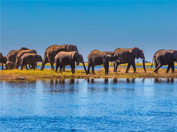 Botswana Wildlife holiday with added comfort