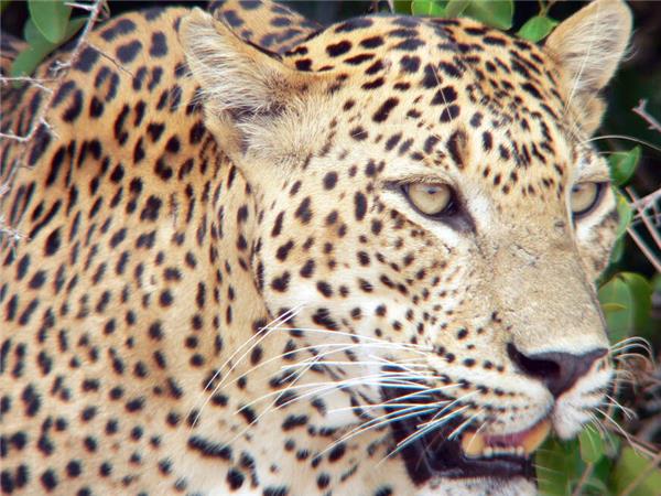Sri Lanka tour with added comfort