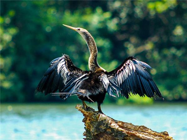 Costa Rica wildlife holiday with added comfort