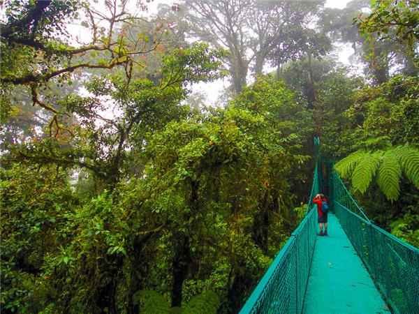 Costa Rica wildlife holiday with added comfort
