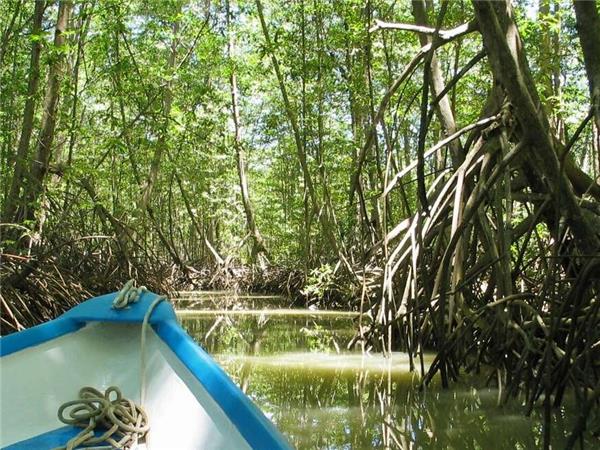 Costa Rica wildlife holiday with added comfort