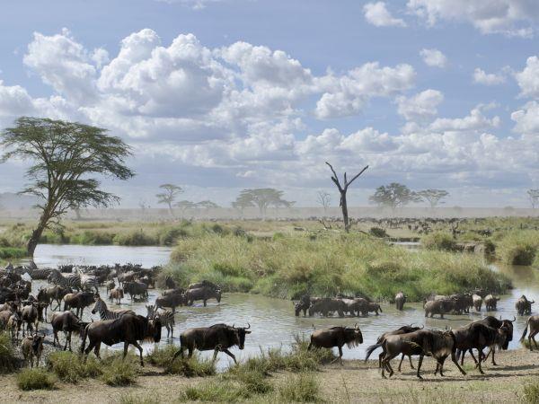 Tanzania small group holiday, safari & Serengeti