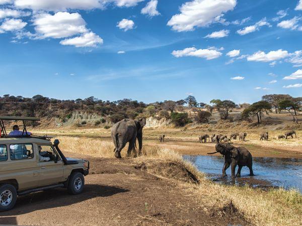 Tanzania small group holiday, safari & Serengeti