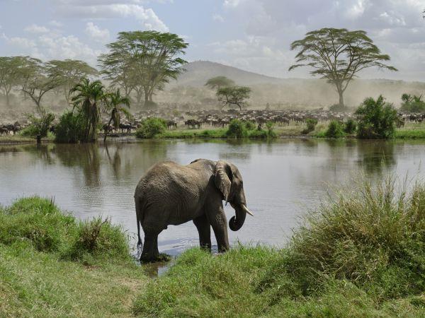 Tanzania small group holiday, safari & Serengeti