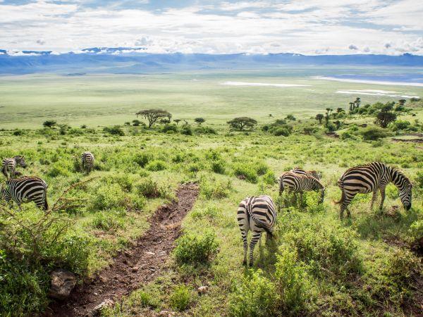 Tanzania small group holiday, safari & Serengeti