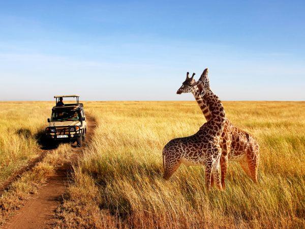 Tanzania small group holiday, safari & Serengeti