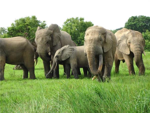 Ghana tours, small group