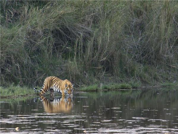 India small group tour for families