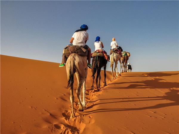 Moroccan highlights tour from Casablanca