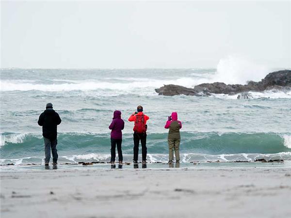 Inner Hebrides autumn wildlife tour, Scotland