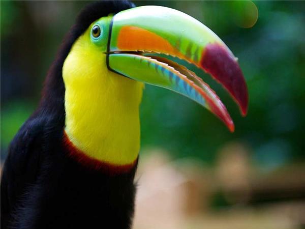 Costa Rica family holiday