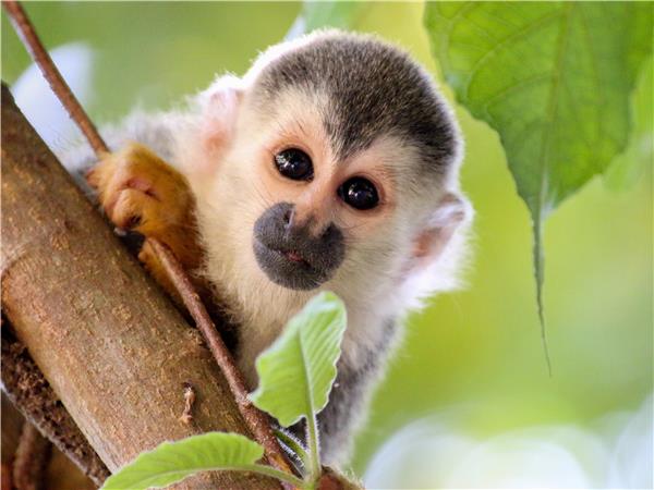 Costa Rica family holiday