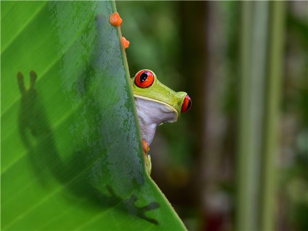 Costa Rica family holiday