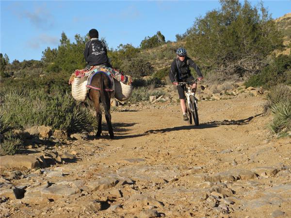 Atlas Mountains mountain biking holiday