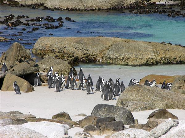 South Africa cycling holiday, Western Cape
