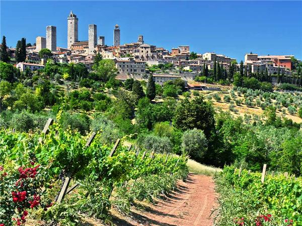 Tuscany small group tour with added comfort