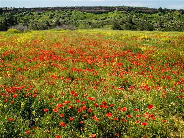 Northern Cyprus walking holiday