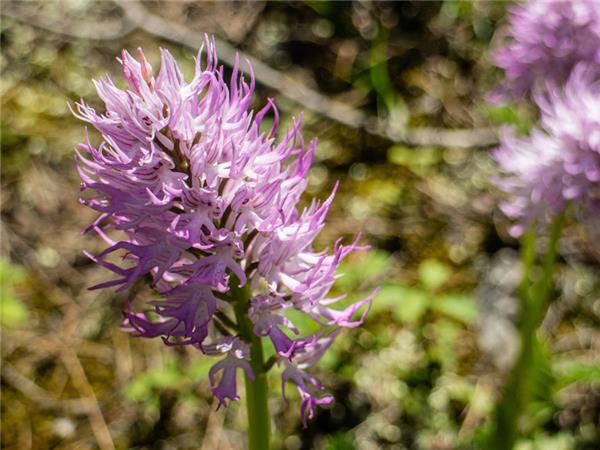 Northern Cyprus walking holiday