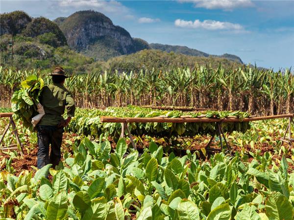 Small group backroads and beaches tours to Cuba