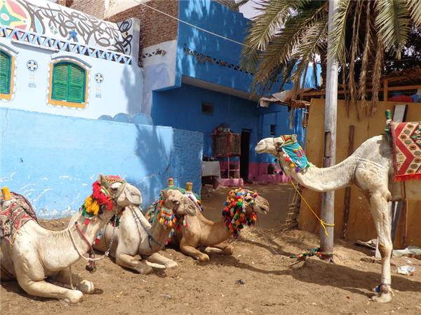 Family holiday in Egypt, Egyptian adventure