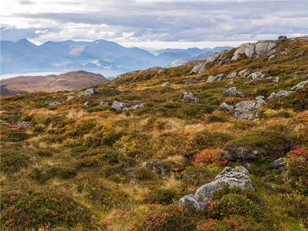 Norway small group holiday