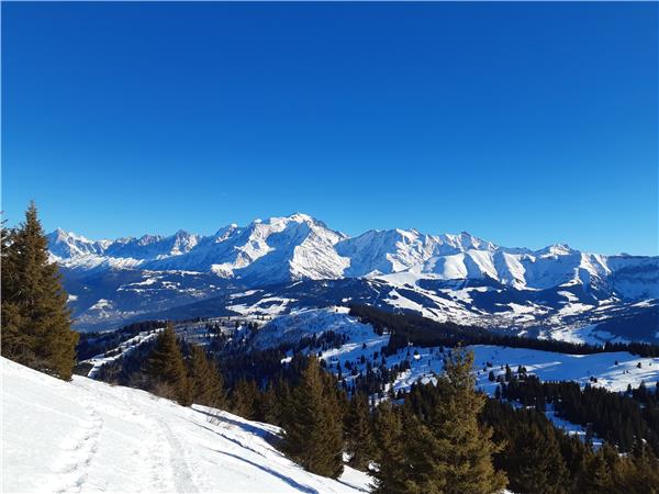 Snowshoeing in Chamonix holiday, self guided