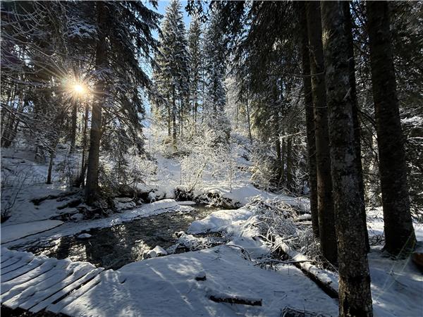 Snowshoeing in Chamonix holiday, self guided