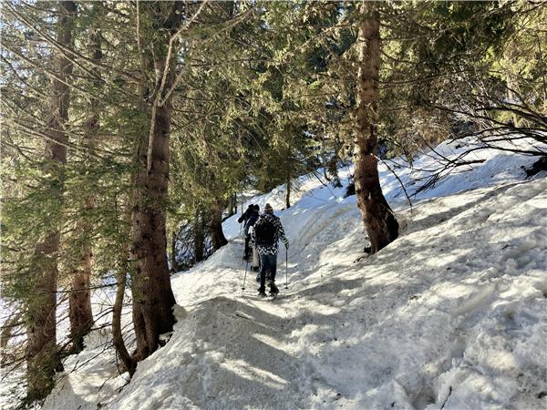 Snowshoeing in Chamonix holiday, self guided